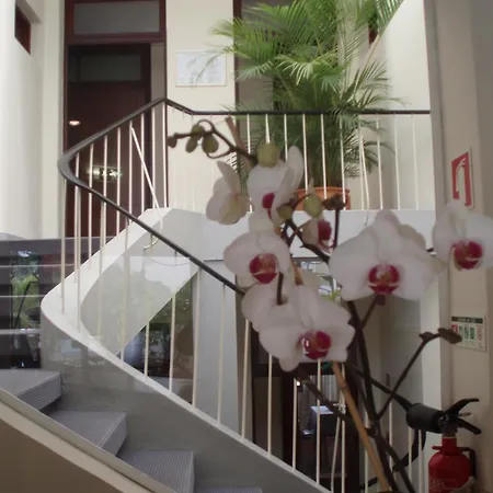 בית הארחה Residencial Do Vale פונשל
